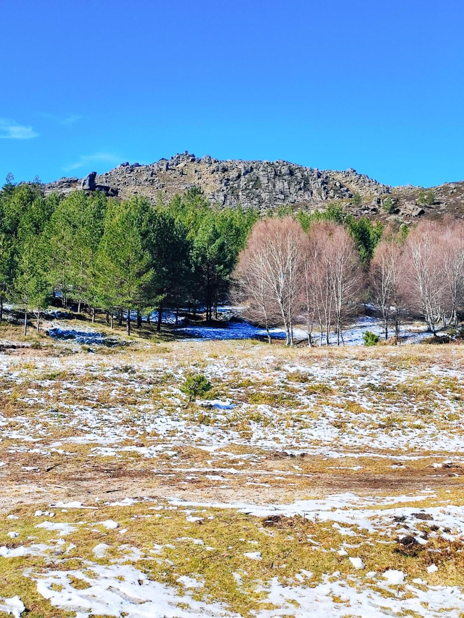 Casa Dos Cotos. *