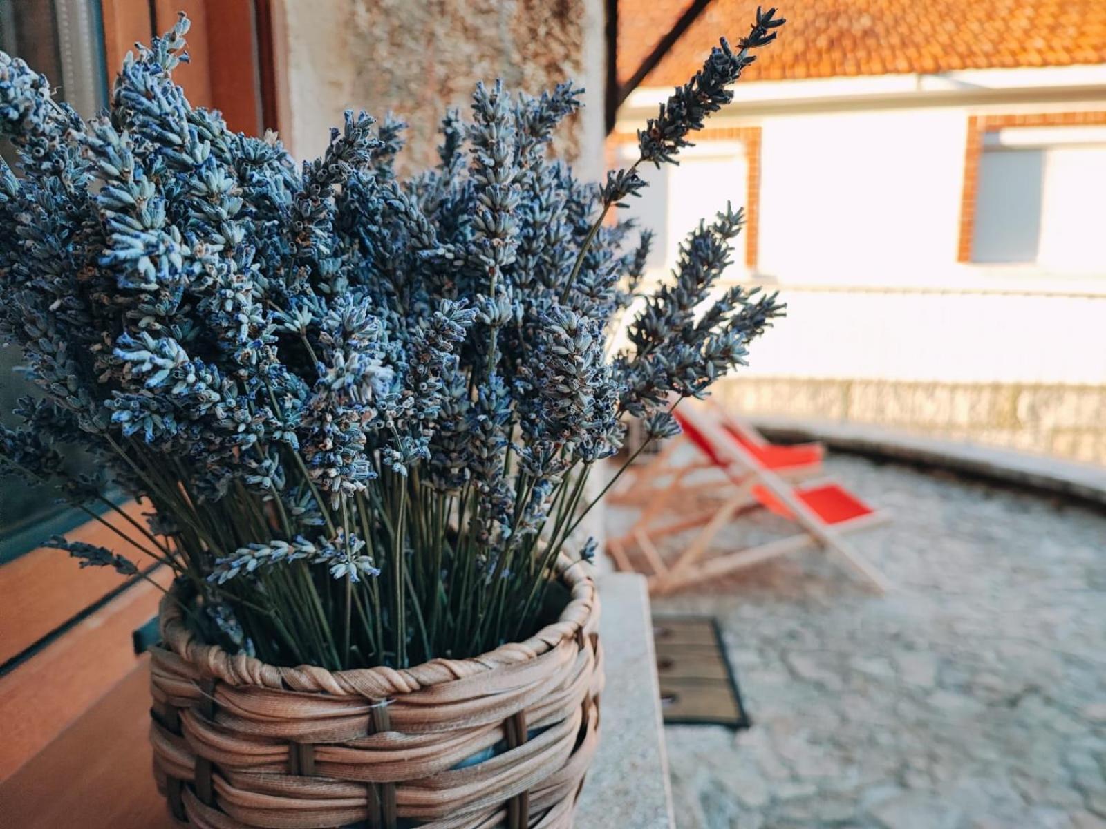 Casa Dos Cotos. Farm stay Castro Laboreiro